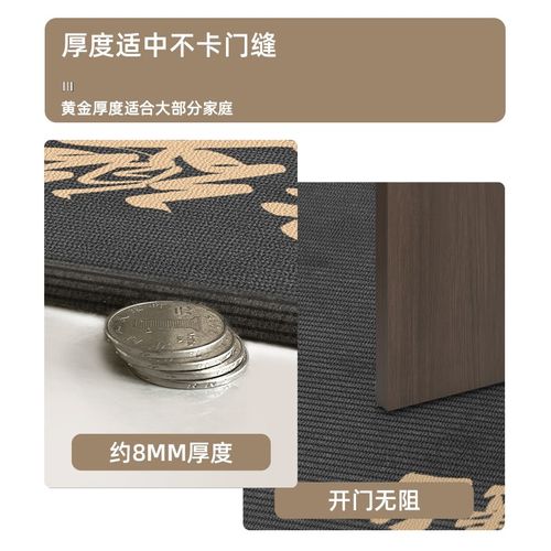 高级灰2024新款入户门垫耐脏加厚高级防滑垫家用免洗门口进门地毯