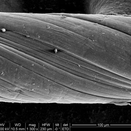 碳纳米管纤维 高导电 高导热 高强度  开票 包邮