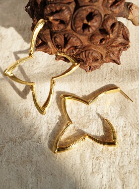 弗朗花星芒耳圈耳钉时尚高级感温柔小众设计精致个性日常百搭耳饰