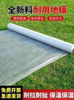 农用白色地膜塑料薄膜加厚种植聚乙烯塑料纸保温保湿大棚种菜工程