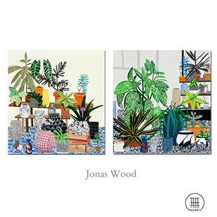 清新脱俗绿植风@Jonas wood餐厅咖啡甜品店客厅儿童房小众装饰画