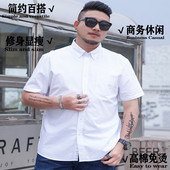长袖 职业装 加肥加大码 300斤胖男士 宽松装 免烫商务P白领正装 白衬衫