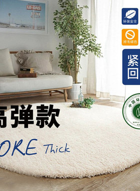 日韩风格化纤地毯加厚家用电脑椅垫 客厅I沙发地毯可定制圆形茶几