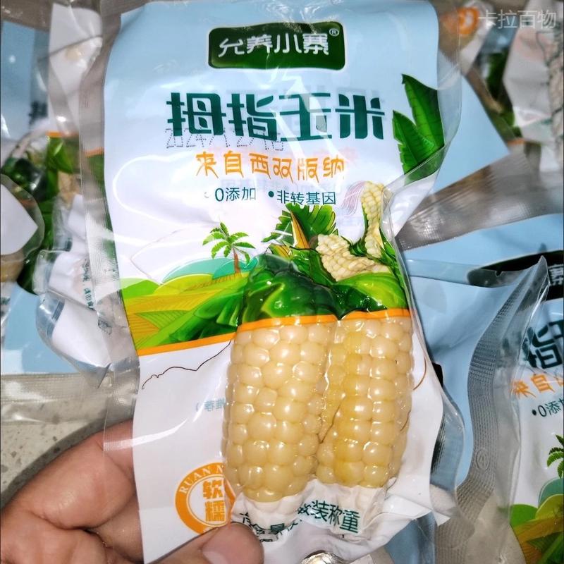 滇枝萃西双版纳拇指玉米迷你糯玉米老品种手指玉米儿童香糯小玉米