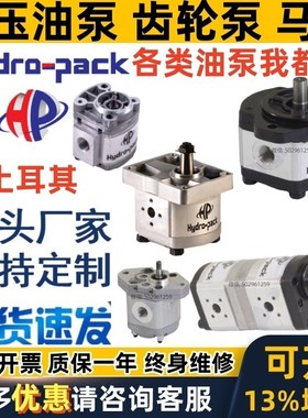 HYDRO-PACK齿轮泵20R16X546 A/C25/33/42/10/14/18/43/54/72/94XH