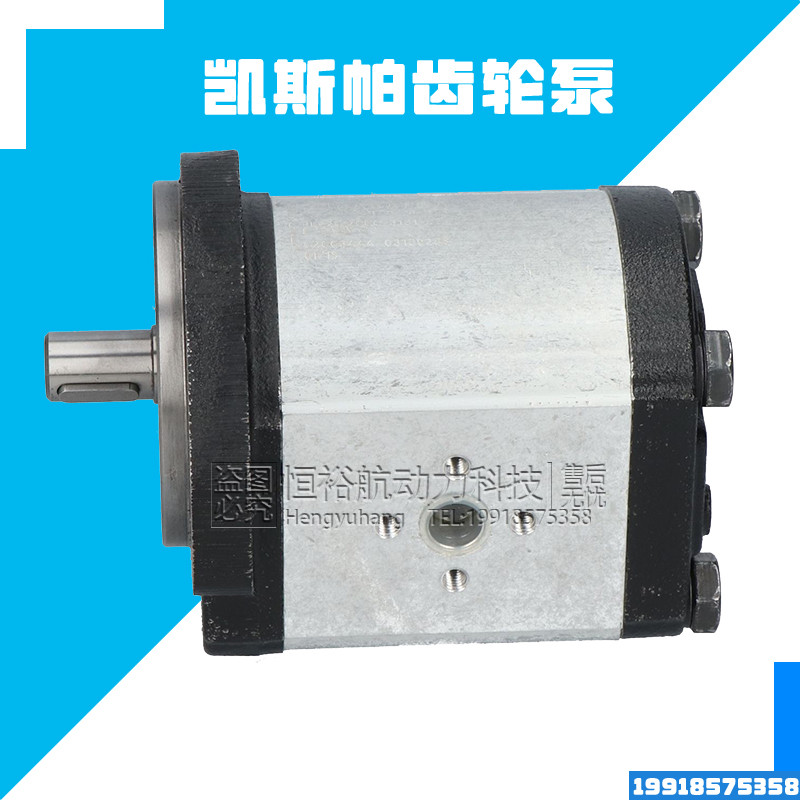 凯斯帕液压泵CASAPPA齿轮泵PLP. 20-4/6.3/7.2/8/9/10.5/14油泵