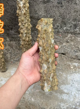 深山降龙木原木野生天然把玩收藏木料老料家居镇宅玄关装饰摆件