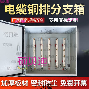 电缆转接箱矿物分支箱铜排分线箱低压楼层桥架接端子箱