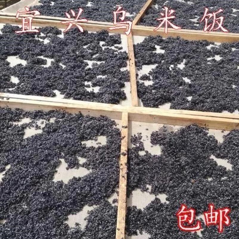 宜兴竹海特产乌米饭黑米饭乌树南烛叶浸泡纯糯米制作商用乌粽子米