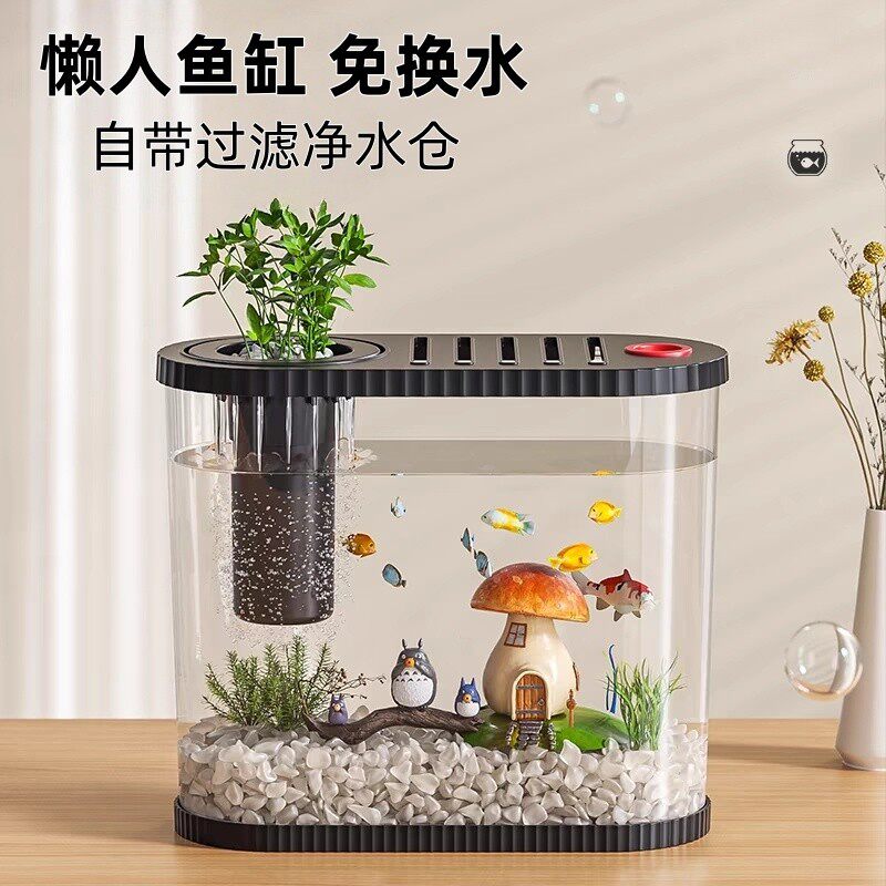 桌面办公室小鱼缸自循环迷你生态缸免换水小型懒人家用观赏金厂家