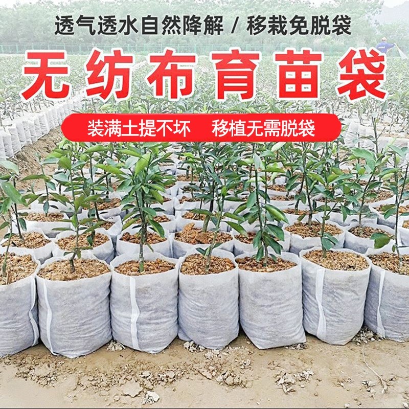美植袋树苗圃用无纺布植树袋特大白色加厚育苗种植袋花卉蔬菜厂家