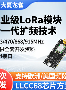 大夏龙雀LoRa无线模块LLCC68工业级通信传输spi二次开发LR20-900