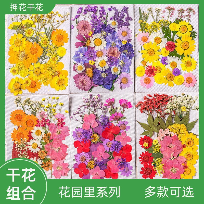 花材包干花包押花包儿童手工植物标本diy材料滴胶压花贴画花瓣妆
