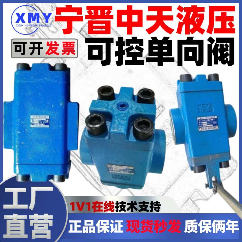 宁晋中天液压阀4D2可控液控单向阀5D2a 6D2 7D2 8D2 DDFY-L32H/40