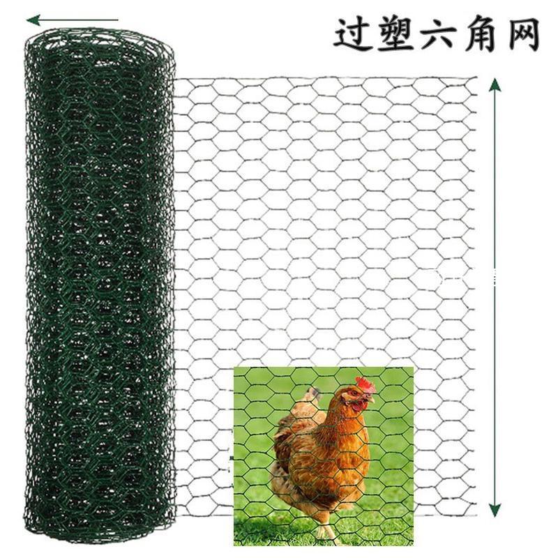 PVC六角网鸡笼网 过塑铁丝网六角金属涂塑网Hexagonal wire mesh