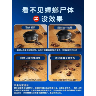 蟑螂药家用全窝端正品 推荐 旗舰店非无毒诱饵剂一次全窝绝杀强效第