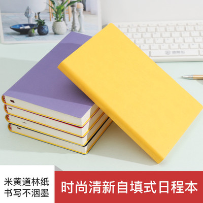2023年自填式日程本一天一页计划本工作笔记本效率手册自律打卡本