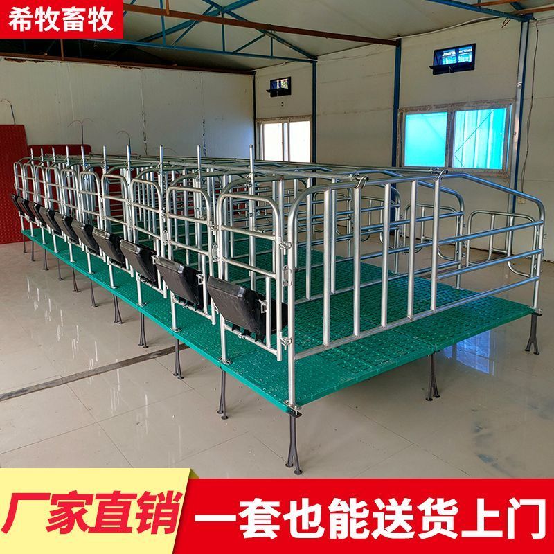 定位栏带限位栏款10个位母猪漏粪板食槽热镀锌加厚母猪定位栏厂家