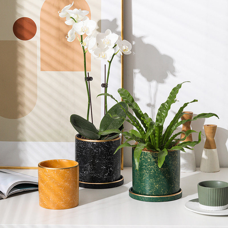 单株蝴蝶兰的专用小花盆透气轻奢高级感花盘花瓶陶瓷兰花花盆,鲜花速递/花卉仿真/绿植园艺,花盆,淘宝优惠券,粉丝福利购,淘宝优惠卷