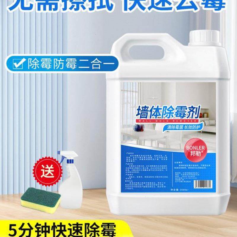 去家用白去霉斑壁霉菌霉霉味墙面墙体除霉剂清除墙纸神器发墙防霉