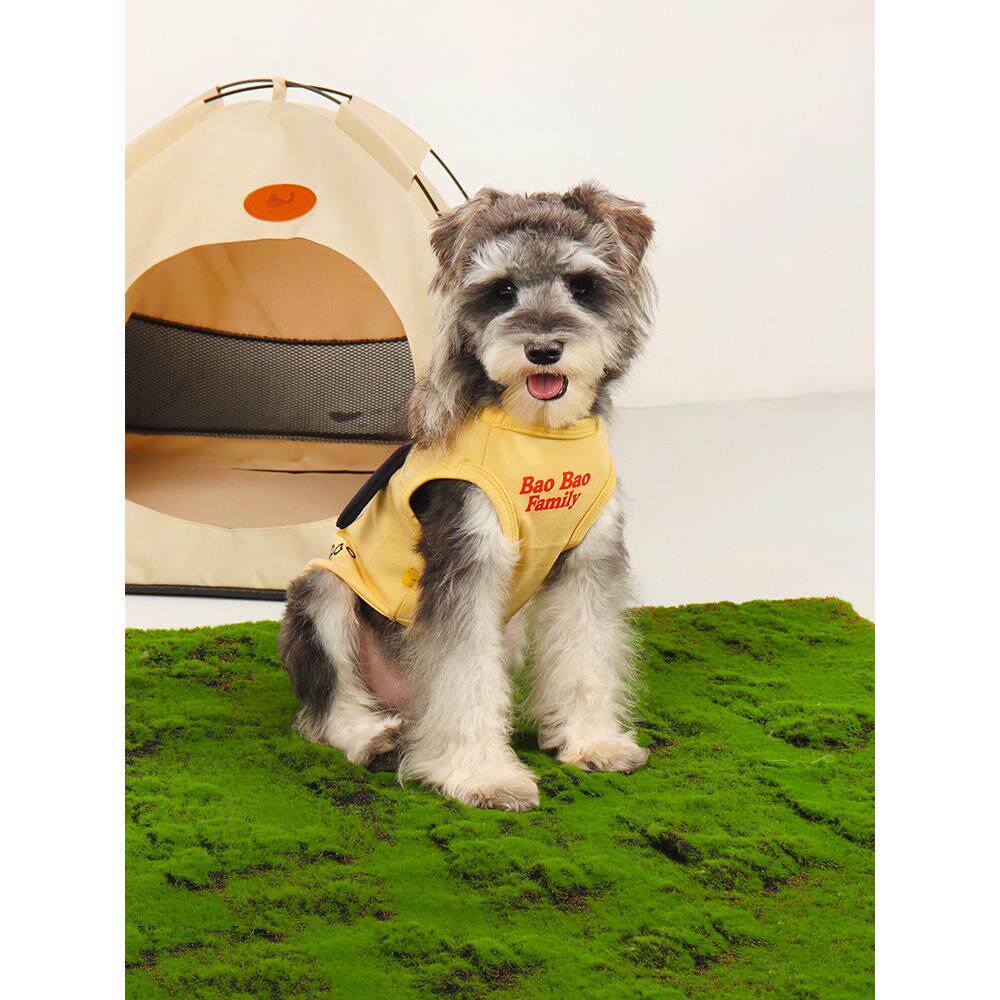 狗衣服夏天宠物小尺寸的狗雪纳瑞柯基泰迪比熊法国斗牛犬小狗背心