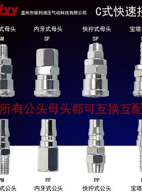 C式快速快拧SP PP 外牙SM PM宝塔SH PH 内螺SFPF203040空压机接头