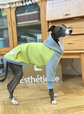 冬款加绒加厚连帽卫衣保暖小灵缇惠比特贝灵顿梗狗衣服AI