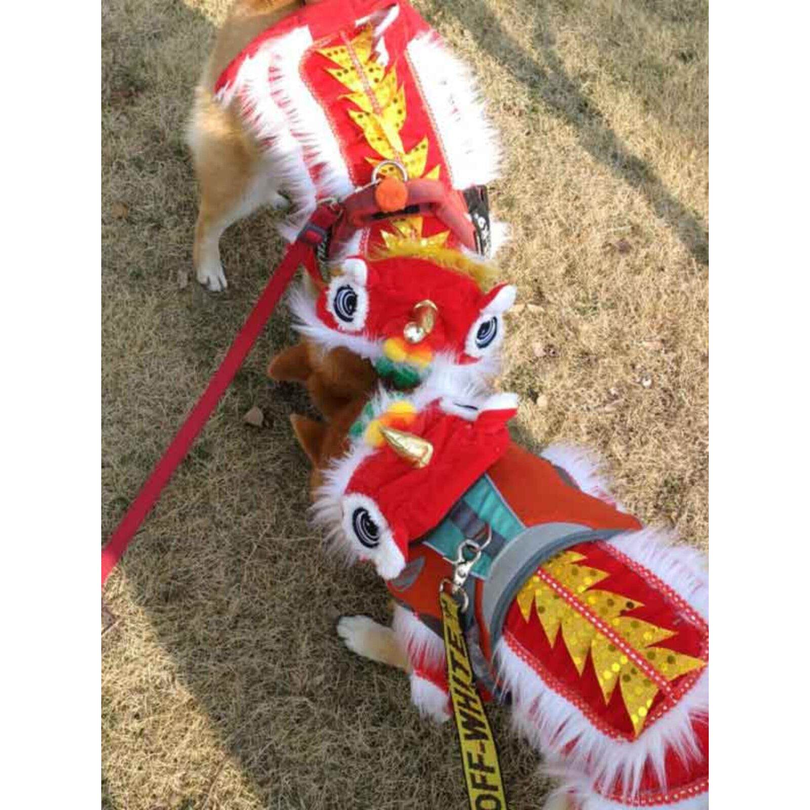 拉布拉多金毛萨摩耶狗狗衣服大型犬卫衣加绒秋冬过年舞狮装保暖AI