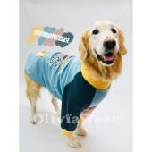 重磅拼色加厚纯棉卫衣 金毛拉布拉多秋冬保暖大狗衣服AI 原创新款