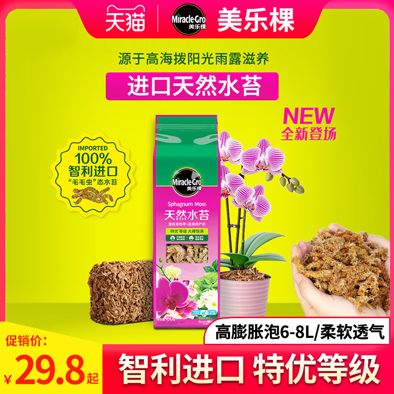 进口干水苔苔藓蝴蝶兰食虫植物水台草多肉环盆P栽水陆缸种植营养