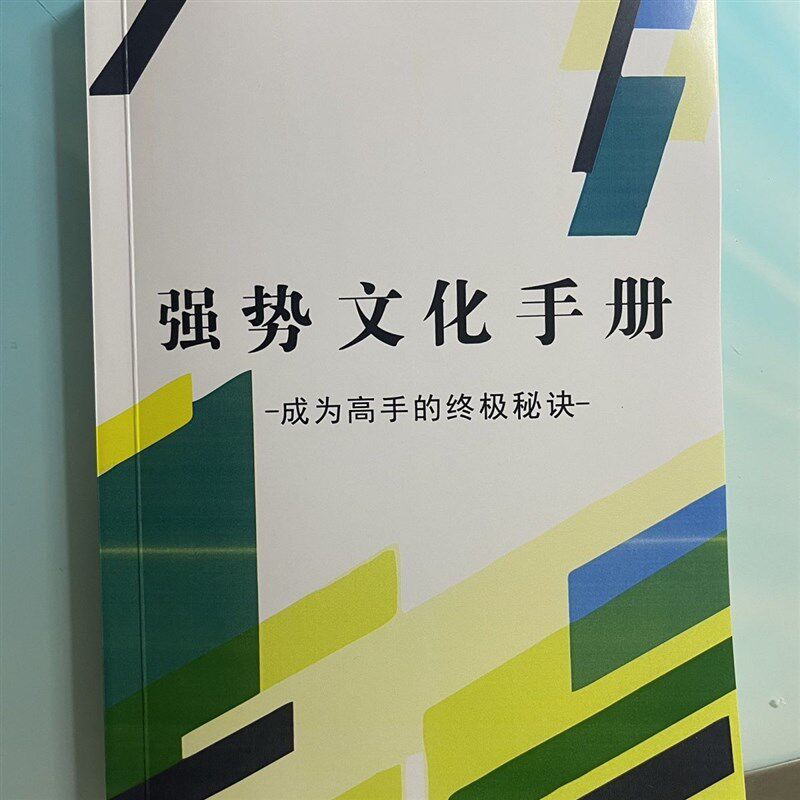 强势文化手册窍悟智质书资料成为手的秘诀图片