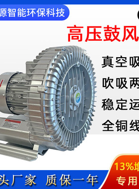 2LG930-7AH37吸尘送料高压鼓风机真空吸附旋涡气泵污水处理旋涡泵