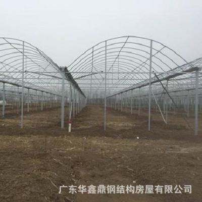 直销温室大棚搭建农作物棚连栋薄膜温室 蔬菜大棚温室 高温大棚