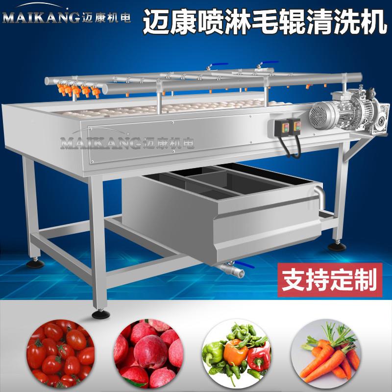 康现货油喷迈淋MQI柑清 洗机全自动毛刷余甘果清洗机 余甘子清洗
