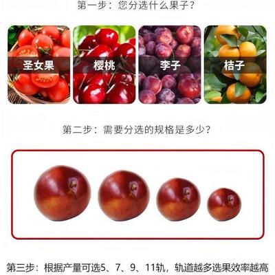 漳州青枣分拣机 沅江青枣选果GMK机 雷州枣级机轨分道青式水分果