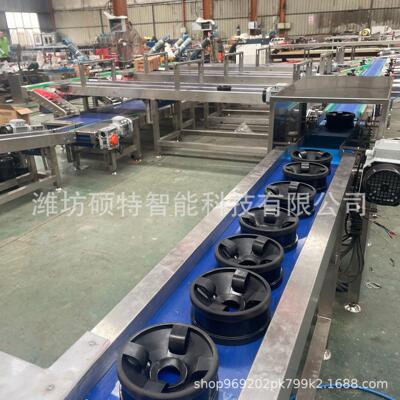 石榴护式选机 火龙果果无损称重分选机 检苹果SL视觉测筛选设呵备