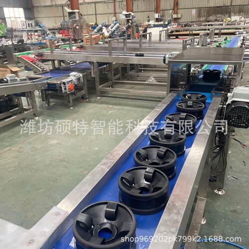 石榴护式选机 火龙果果无损称重分选机 检苹果SL视觉测筛选设呵备