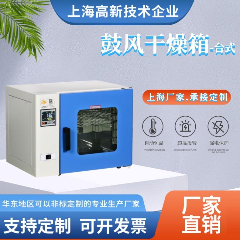 台式电热鼓干燥箱风 高DS-H系列型温烤烘箱 工业箱厂家 非标大烘