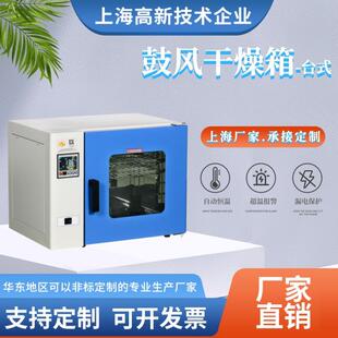 H系列型温烤烘箱 台式 电热鼓干燥箱风 高DS 非标大烘 工业箱厂家