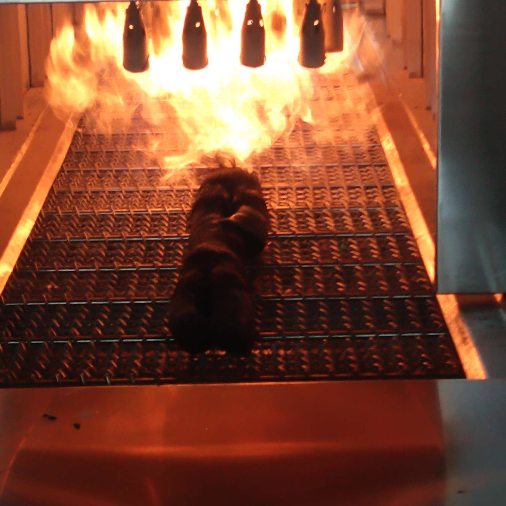 上下火KVD价焰可打调羊蹄脱毛烧毛机 鸭翅鸡头电子火毛脱机 格优