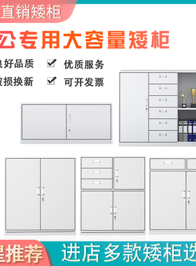 福建省福州市办公文件柜矮柜拆装带锁多门柜资料档案柜更衣储物柜