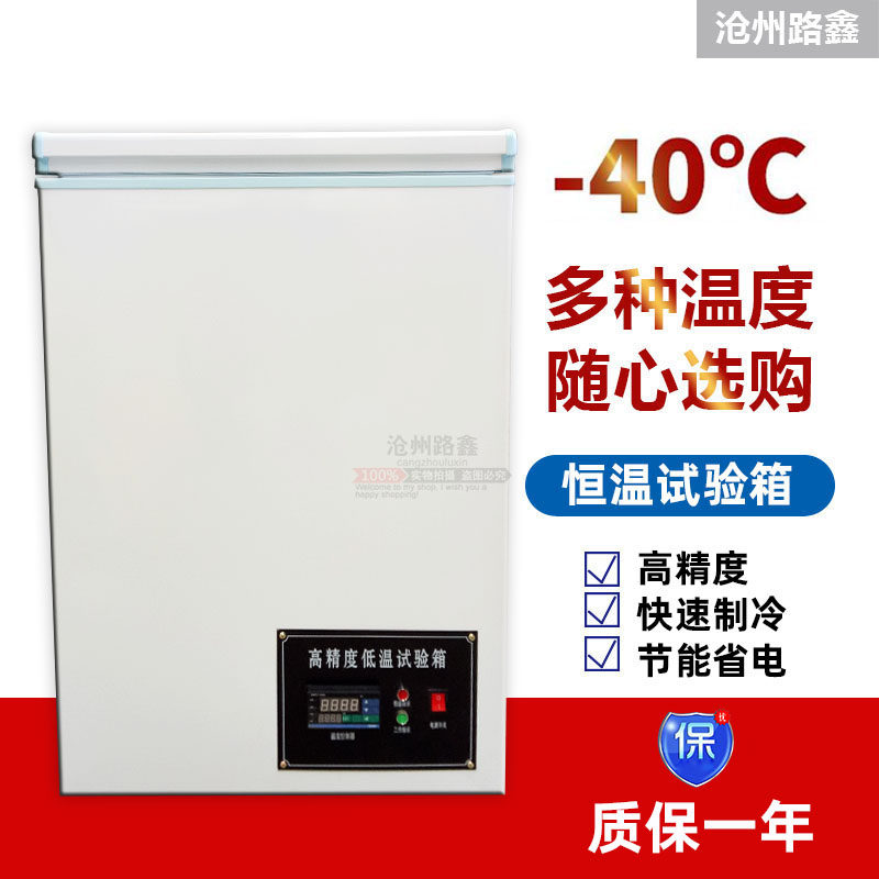 迷你型-40度低温试验箱/-40度铜管低温冰柜/-60超低温冰箱速冻柜