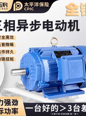 三相异步电动机 2极4极6极11/15/18.5/22/30/37/45/55KW 国标380V