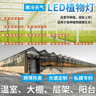 谦润照明LED植物生长灯户外全光谱植物种植灯温室育苗植物补光灯