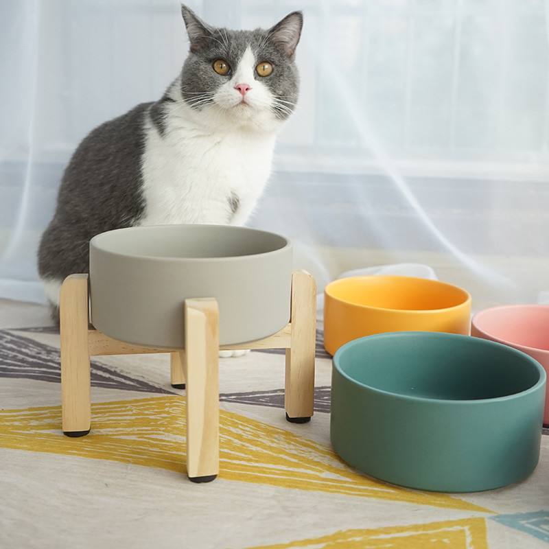 加高木架陶瓷猫碗狗碗猫食盆狗盆饭盆水碗宠物碗猫咪单碗保护