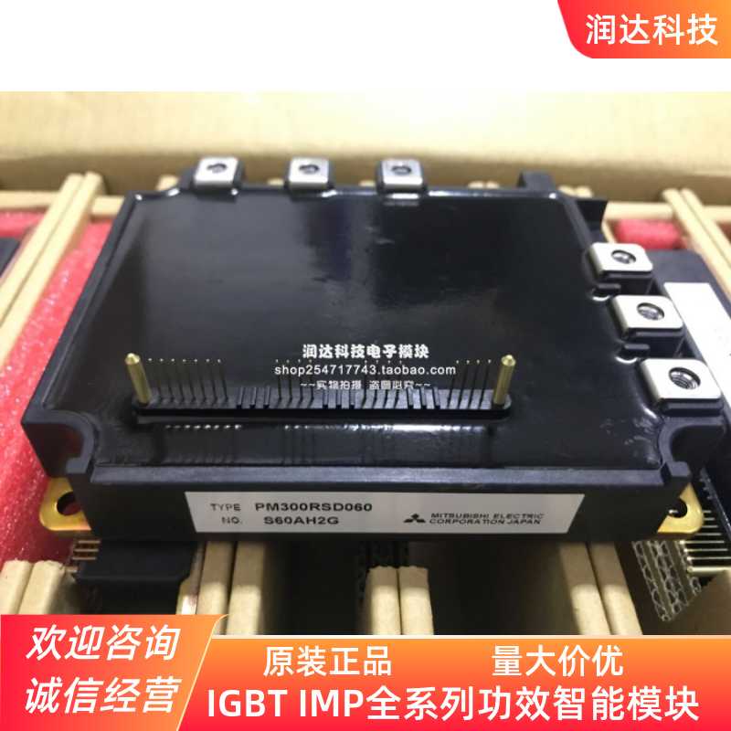 PM300RSD060 PM300CLA060 PM300RLA060 PM300CL1A060