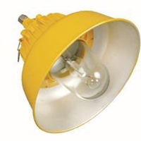 BPC8700防爆道路(平臺(tái))燈70W150W100W250W400W