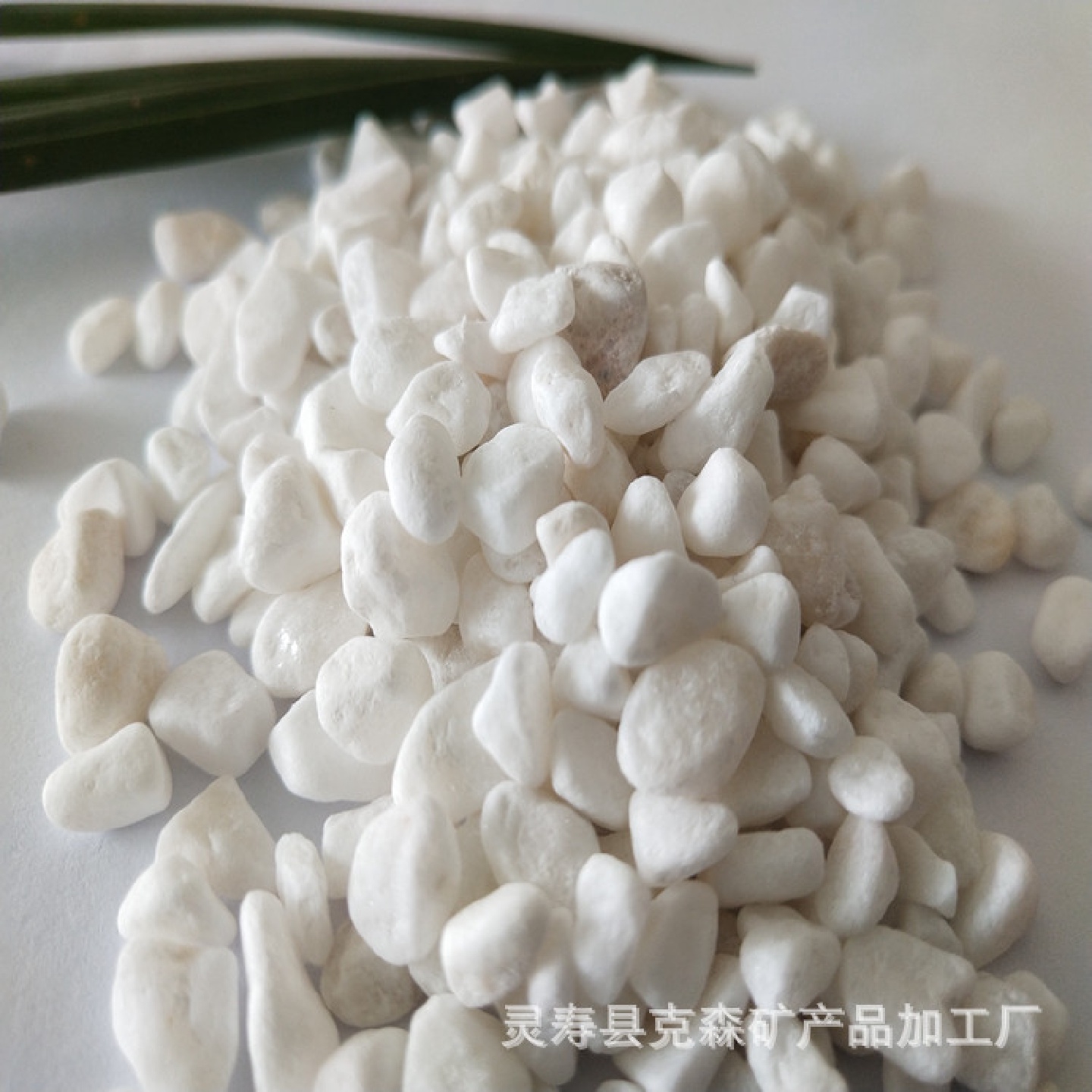 厂家供汉白玉石子型号齐全枯树枝庭院造景白色鹅卵石盆栽铺路大块