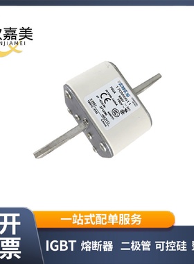 170M6611170M6616快速熔断器保险丝电子元器件量大价优