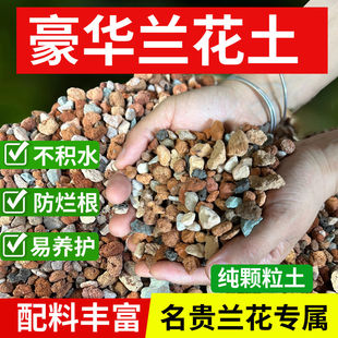 纯颗粒高端兰花专用植料兰花土盆栽种植石料花盆铺面透气石小